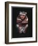 Vase Depicting a Hunter with an Animal Skin Shawl, Nazca Culture, Peru-null-Framed Giclee Print