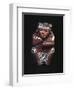 Vase Depicting a Hunter with an Animal Skin Shawl, Nazca Culture, Peru-null-Framed Giclee Print