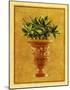 Vase Médicis I-Laurence David-Mounted Art Print