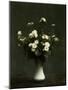 Vase of Chrysanthemums, 1871 (Oil on Canvas)-Ignace Henri Jean Fantin-Latour-Mounted Giclee Print