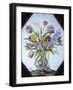 Vase of Flowers-Giovanna Garzoni-Framed Giclee Print