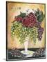 Vase of Grapes-Jennifer Garant-Stretched Canvas