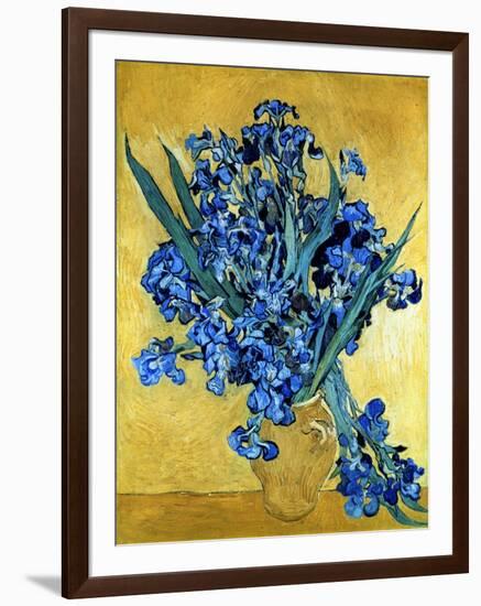 Vase of Irises Against a Yellow Background, c.1890-Vincent van Gogh-Framed Giclee Print