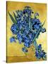 Vase of Irises Against a Yellow Background, c.1890-Vincent van Gogh-Stretched Canvas