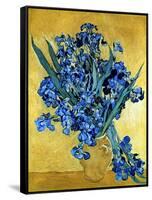 Vase of Irises Against a Yellow Background, c.1890-Vincent van Gogh-Framed Stretched Canvas