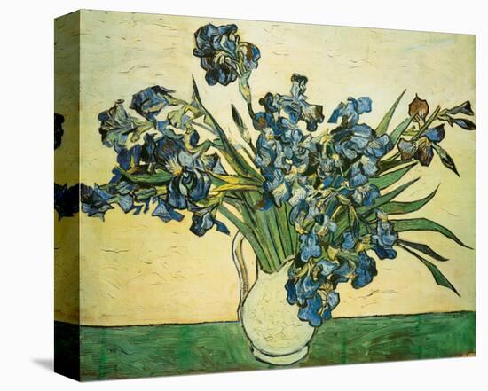 Vase of Irises, c.1890-Vincent van Gogh-Stretched Canvas