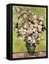 Vase of Roses-Vincent van Gogh-Framed Stretched Canvas