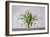 Vase of Tulips-Torsten Richter-Framed Photographic Print