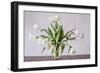 Vase of Tulips-Torsten Richter-Framed Photographic Print