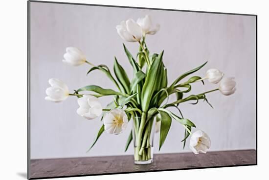 Vase of Tulips-Torsten Richter-Mounted Photographic Print
