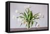 Vase of Tulips-Torsten Richter-Framed Stretched Canvas