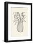 Vase Sketch-Pictufy Studio-Framed Photographic Print