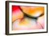 Vase Study-Ursula Abresch-Framed Photographic Print