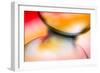 Vase Study-Ursula Abresch-Framed Photographic Print