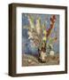 Vase with Gladioli and China Asters, 1886-Vincent van Gogh-Framed Art Print