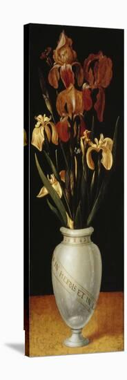 Vase with Lilies and Iris, 1562-Ludger Tom Ring-Stretched Canvas