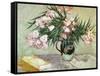 Vase with Oleanders and Books, c.1888-Vincent van Gogh-Framed Stretched Canvas