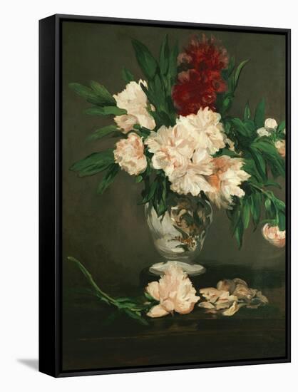 Vase with Peonies on a Pedestal, 1864-Edouard Manet-Framed Stretched Canvas