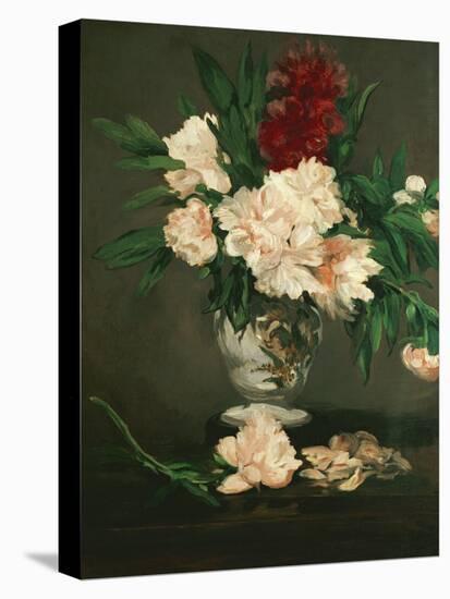 Vase with Peonies on a Pedestal, 1864-Edouard Manet-Stretched Canvas