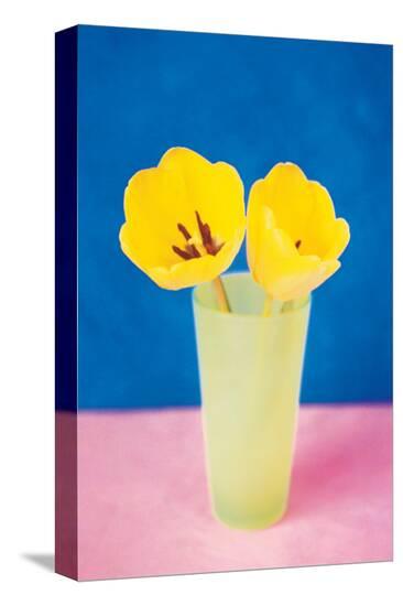 Vase with Tulips--Stretched Canvas