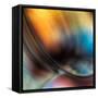 Vase-Ursula Abresch-Framed Stretched Canvas