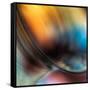 Vase-Ursula Abresch-Framed Stretched Canvas