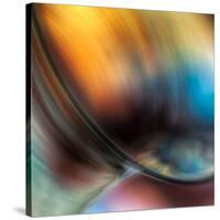 Vase-Ursula Abresch-Stretched Canvas