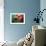 Vase-Ursula Abresch-Framed Photographic Print displayed on a wall