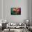 Vase-Ursula Abresch-Framed Photographic Print displayed on a wall