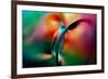 Vase-Ursula Abresch-Framed Photographic Print