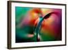 Vase-Ursula Abresch-Framed Photographic Print