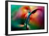 Vase-Ursula Abresch-Framed Photographic Print