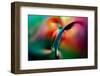 Vase-Ursula Abresch-Framed Photographic Print