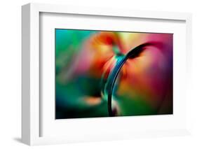 Vase-Ursula Abresch-Framed Photographic Print