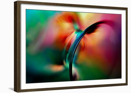 Vase-Ursula Abresch-Framed Photographic Print