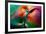 Vase-Ursula Abresch-Framed Photographic Print