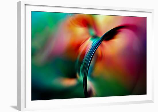 Vase-Ursula Abresch-Framed Photographic Print