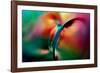 Vase-Ursula Abresch-Framed Photographic Print