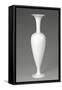 Vase-null-Framed Stretched Canvas