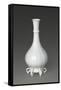 Vase-null-Framed Stretched Canvas