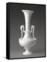 Vase-null-Framed Stretched Canvas