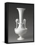 Vase-null-Framed Stretched Canvas