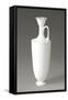 Vase-null-Framed Stretched Canvas