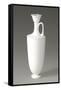 Vase-null-Framed Stretched Canvas