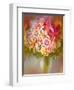 Vase-Skarlett-Framed Giclee Print