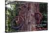 Vashon Island, WA - Bike in the Tree-Lantern Press-Stretched Canvas