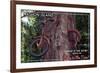 Vashon Island, WA - Bike in the Tree-Lantern Press-Framed Art Print