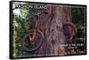 Vashon Island, WA - Bike in the Tree-Lantern Press-Framed Stretched Canvas