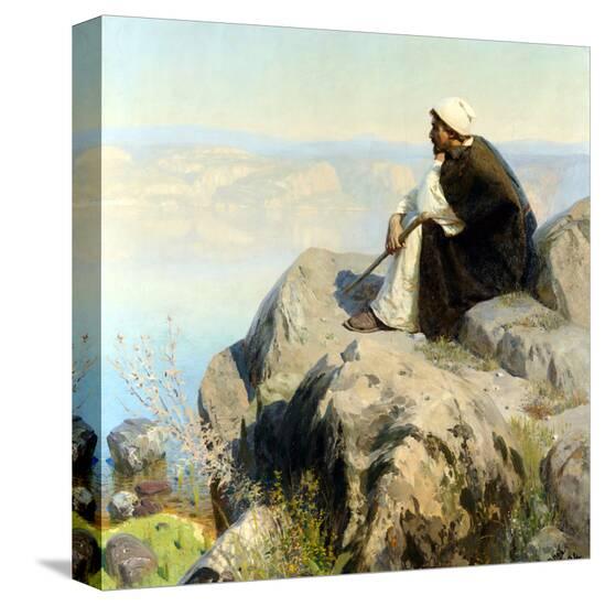 Stretched Canvas Print, , large