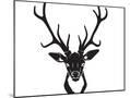 Wood Mount